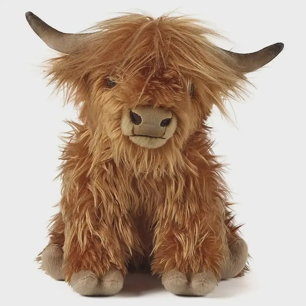 Highland Cow